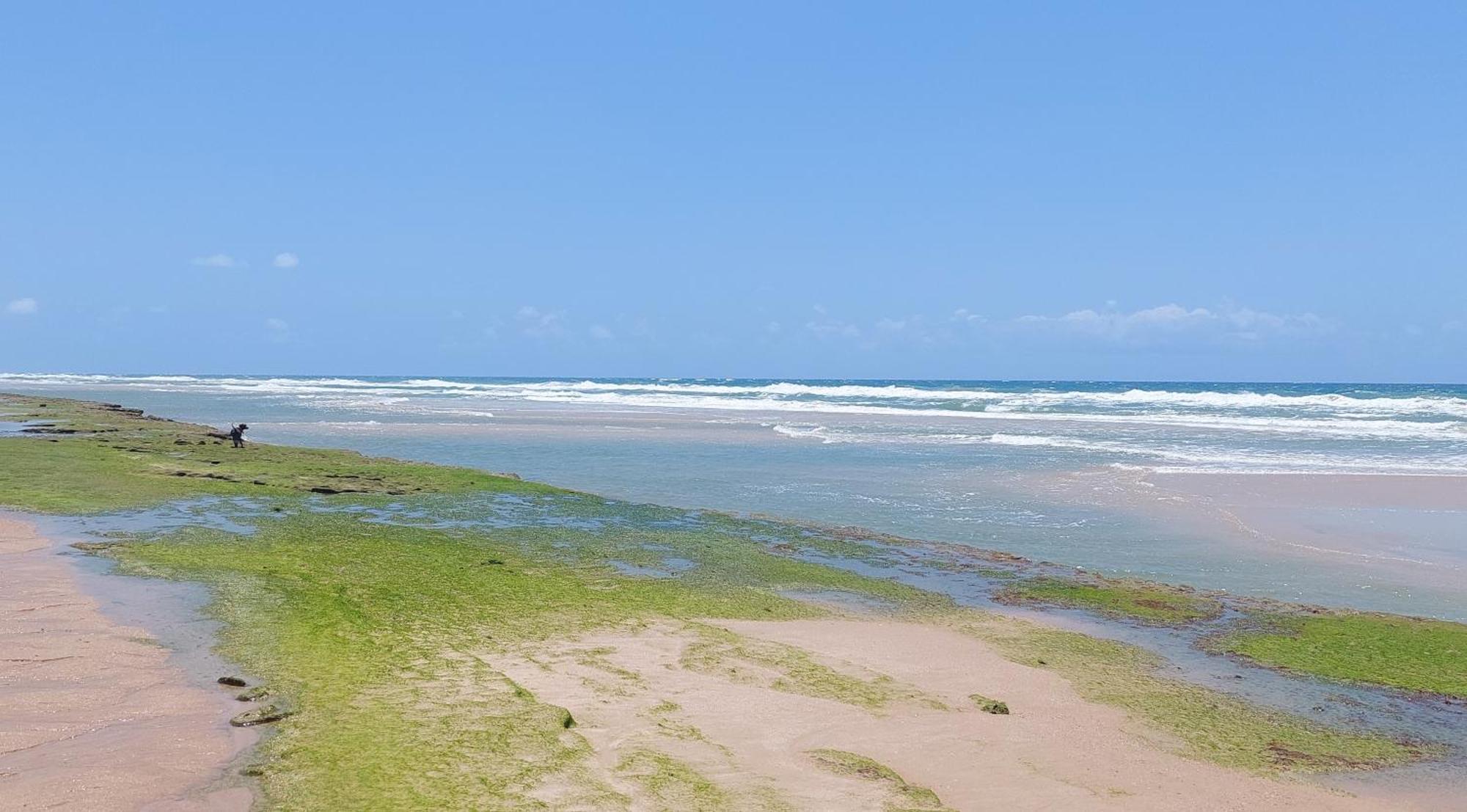 Portal Vida Chale Na Praia Da Taiba Sao Goncalo do Amarante  Ngoại thất bức ảnh